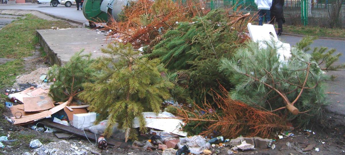 елка, Брест, утилизация