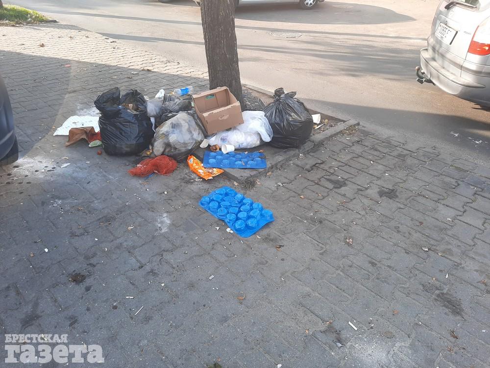 Куча мусора, Брест, Карбышева, Брестский рынок, Брестская газета