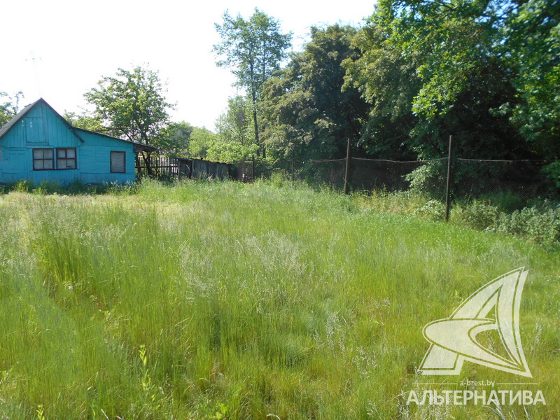 Недвижимость, дача, дачный домик, садовый домик, товарищество, цена, стоимость, мезонин, дом с мезонином, Скандинавия, Англия, Агата Кристи, сад, деревья, уют, очаг, кедр, коммуникации, кровля, черта города, город, Брест, комнаты, загородный дом, стеклянный дом