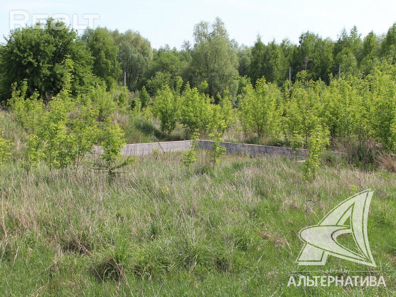 Участок в Бресте