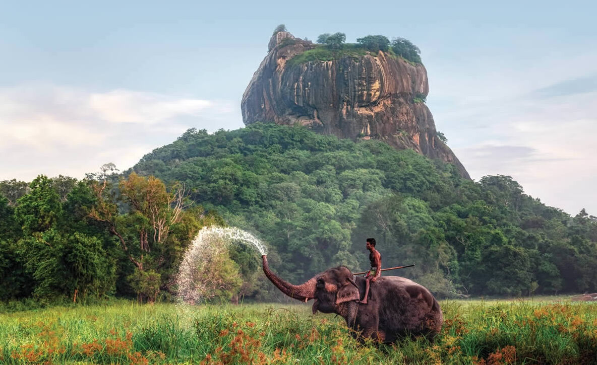 Иллюстративное фото pixabay. Шри-Ланка.