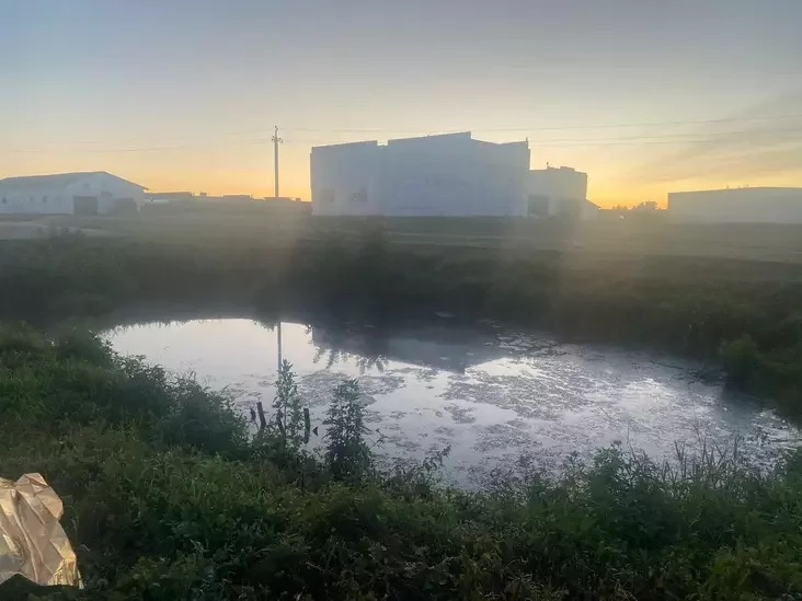 Искусственный водоем на территории мехдвора ОАО «Агро-Пелище», в котором нашли пропавшую Майю Любимцеву. Фото: t.me/krepostfortuvd.