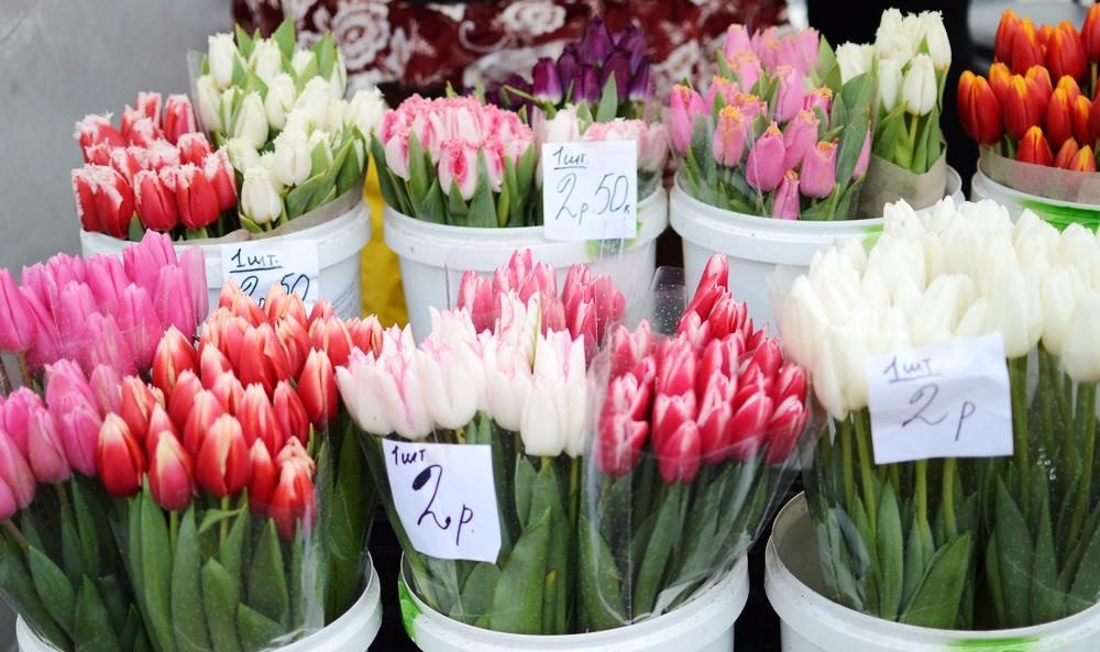 Продажа тюльпанов на Брестском центральном рынке.