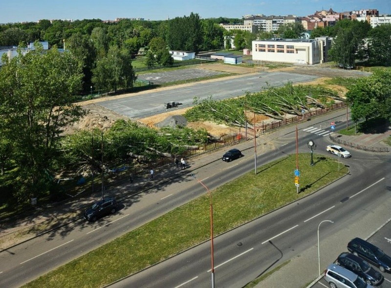 Спиленные деревья в СШ №9 Бреста. Фото из соцсетей