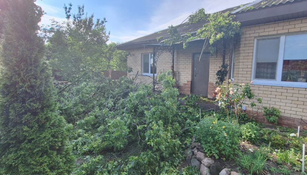 Последствия непогоды на Брестчине. Фото: МЧС.