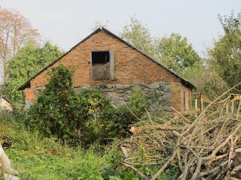 Остатки одной из хозяйственных построек усадьбы, сложенной из бутового камня.