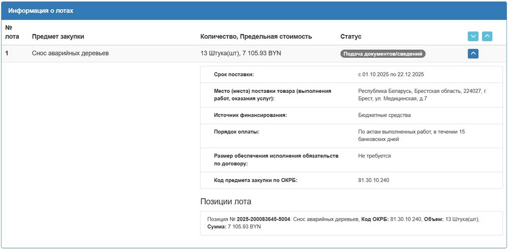 Тендер Брестской областной клинической больницы на спил деревьев. Скриншот сайта госзакупок