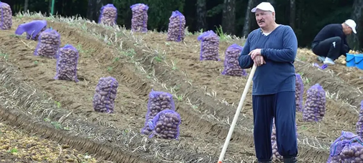 Лукашенко бульба