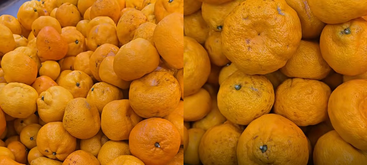 сморщенные мандарины